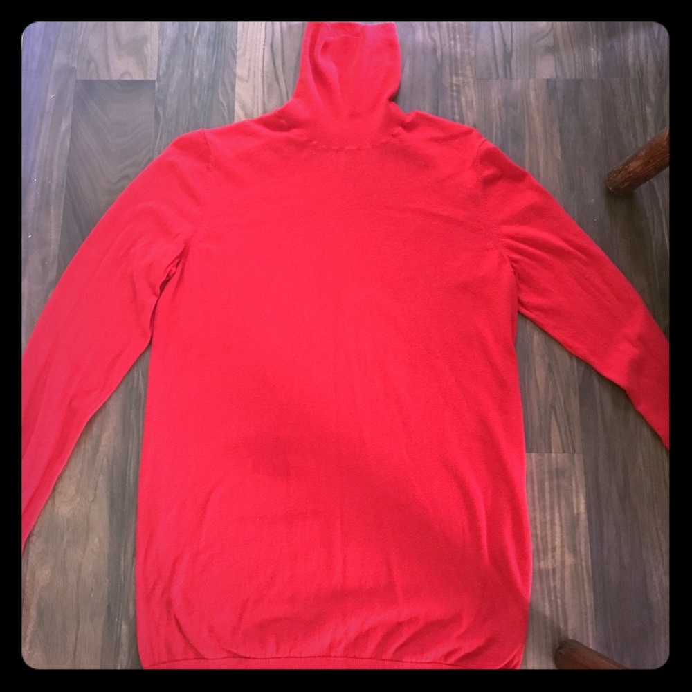 Gap turtle neck sweater Lg