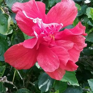 Meet your Posher, Lynn