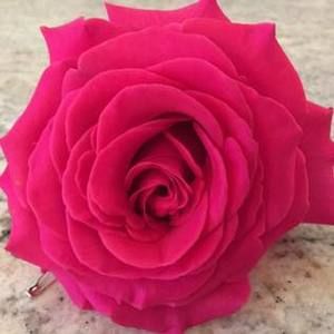 Meet your Posher, Margaret