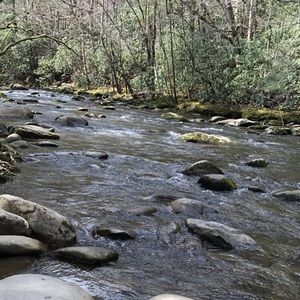 Meet your Posher, Joanna