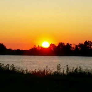 Meet your Posher, Maddie