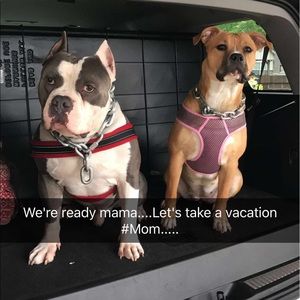 Meet your Posher, Jinny