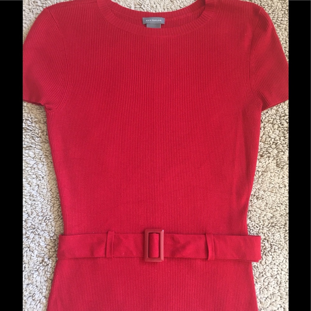 Belted Short Sleeve Sweater Top