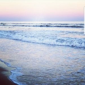 Meet your Posher, Sidney