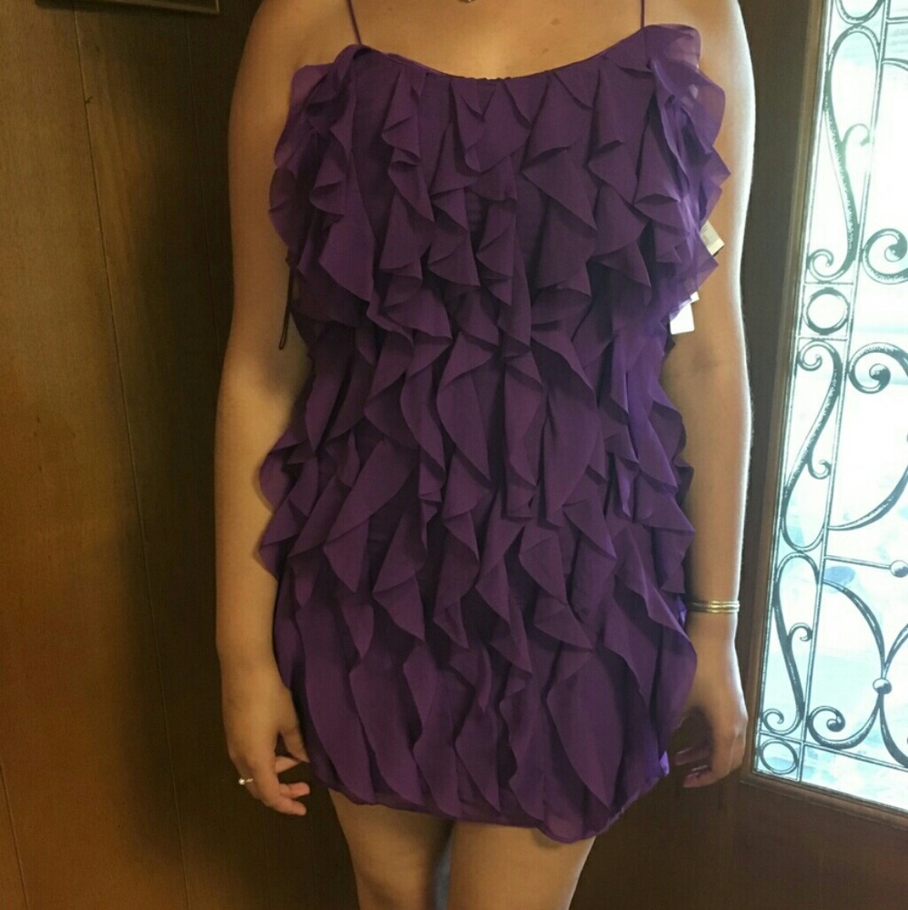 Beautiful chiffon purple dress NWT