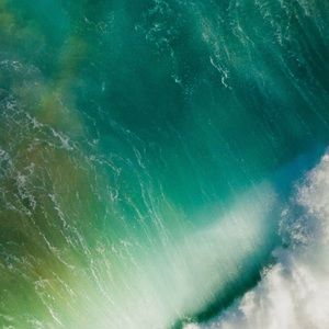 Meet your Posher, Carly