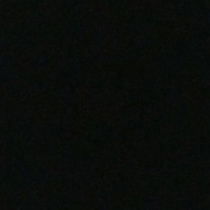 Meet your Posher, Perry