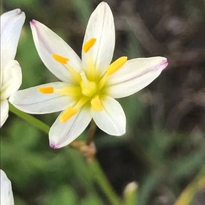 Meet your Posher, Nina