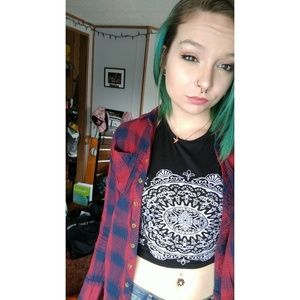 Red and blue flannel