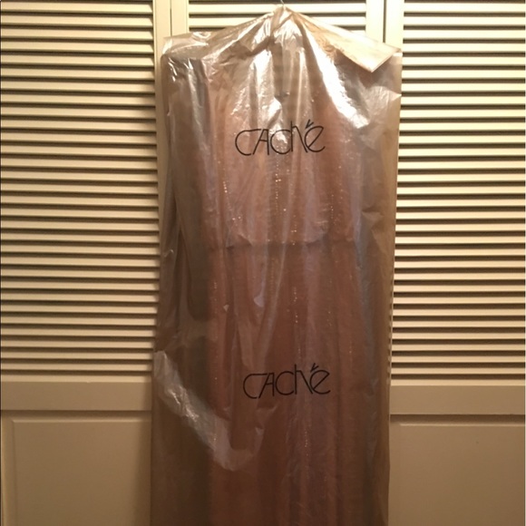 Caché pink long dress with silver sequin design - Picture 4 of 4