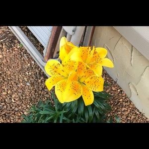 Meet your Posher, Christi