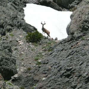 Meet your Posher, Ann