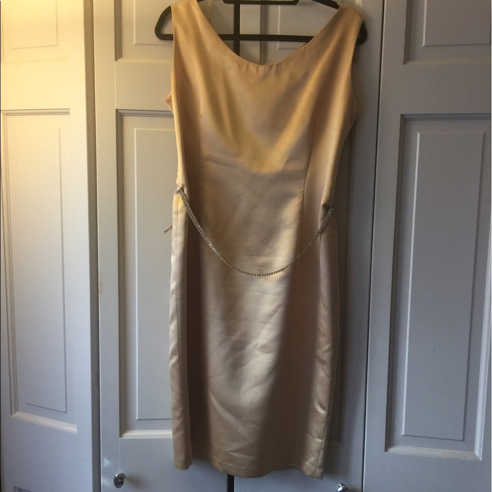 Cute champagne Gold Dress