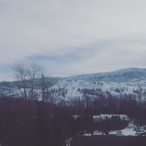 Meet your Posher, Jayla