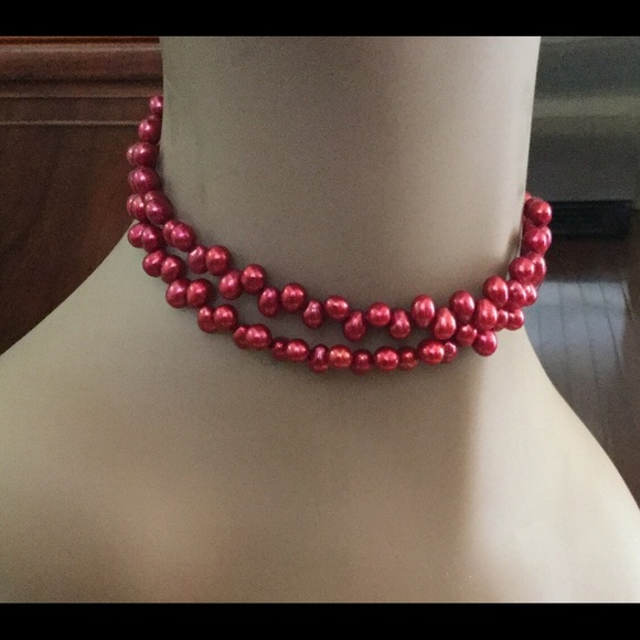 Delicious Cranberries - Picture 2 of 4