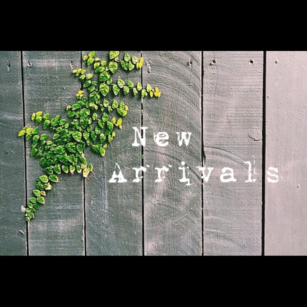 New Arrivals - image 1