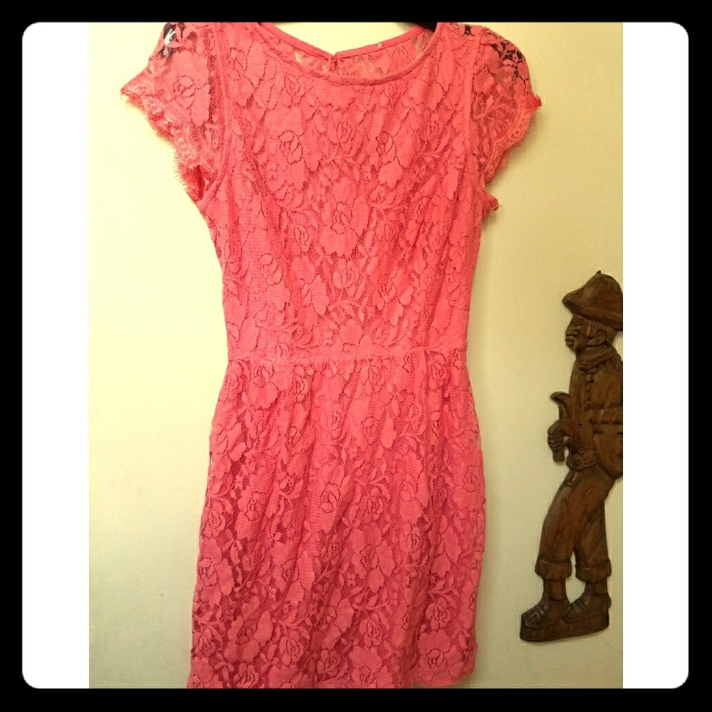 Summer/spring pink floral lace dress