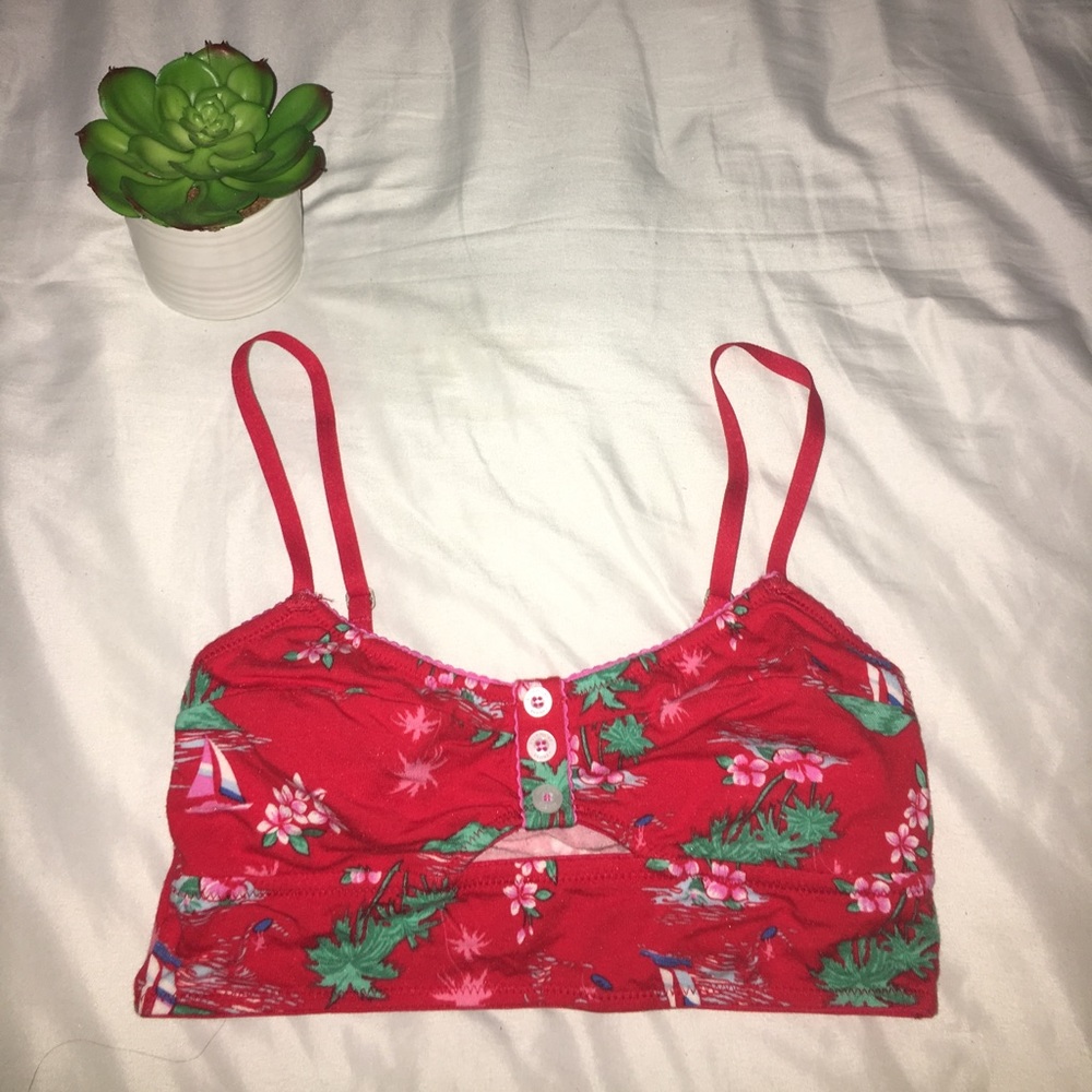 Hollister bralette