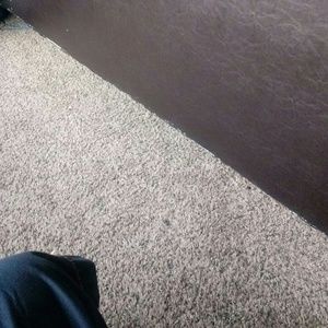 Meet your Posher, Darrall