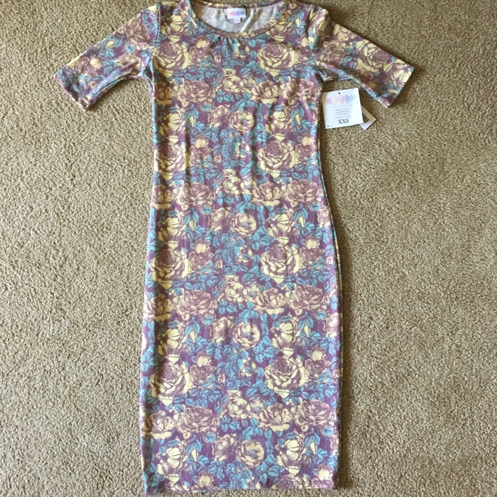 Last $ drop BNWT LULAROE xxs Julia