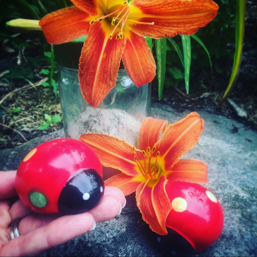 100% chemical free dry shampoo with 🐞shaker!!