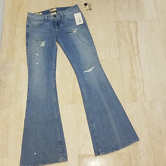 ๐๏ธ WILLIAM RAST DAISY SUPER FLARE - Picture 5 of 8