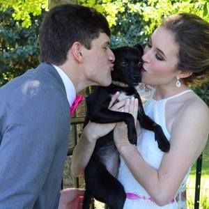 Meet your Posher, Allie