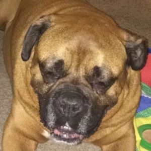 Meet your Posher, Kenna