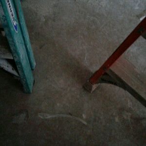 Meet your Posher, Larry