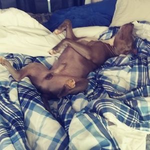 Meet your Posher, Terry