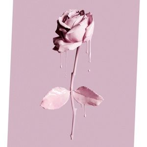 Meet your Posher, Destiny