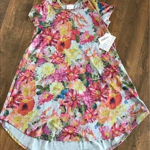 Lularoe Scarlett Dress size 12