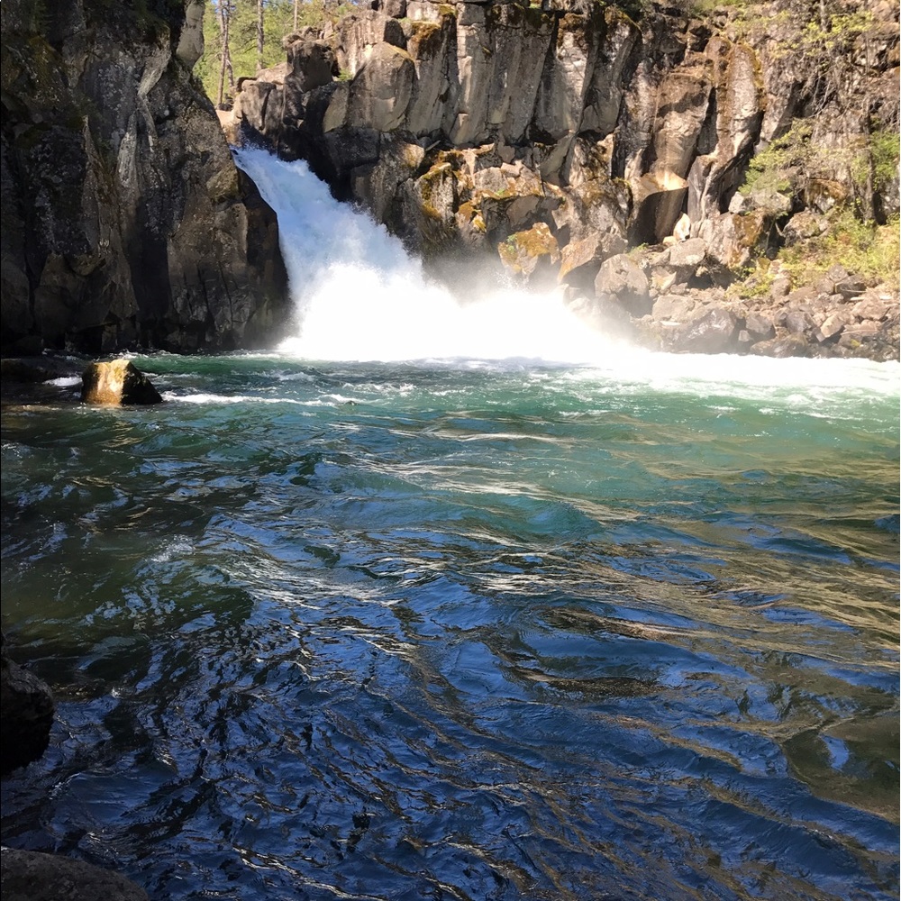 Meet your Posher, Michelle