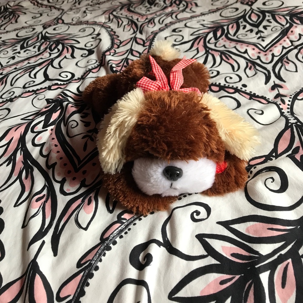 Cute furry dog toy