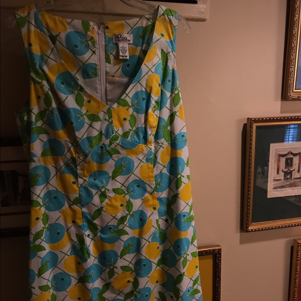 VINTAGE LILLY ANNA DRESS NEW W TAGS (size 8)