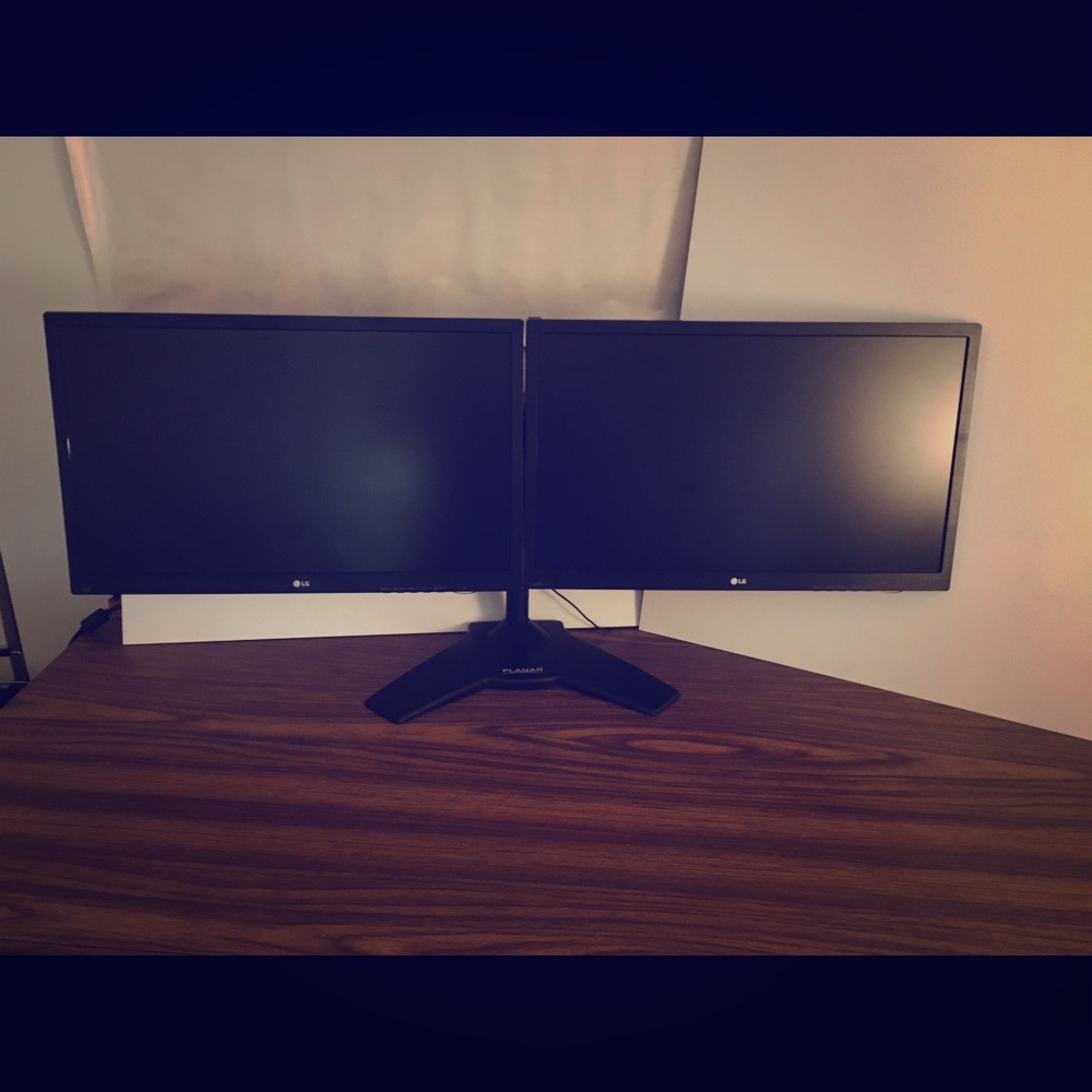 Dual LG 24" Monitors With Stand
