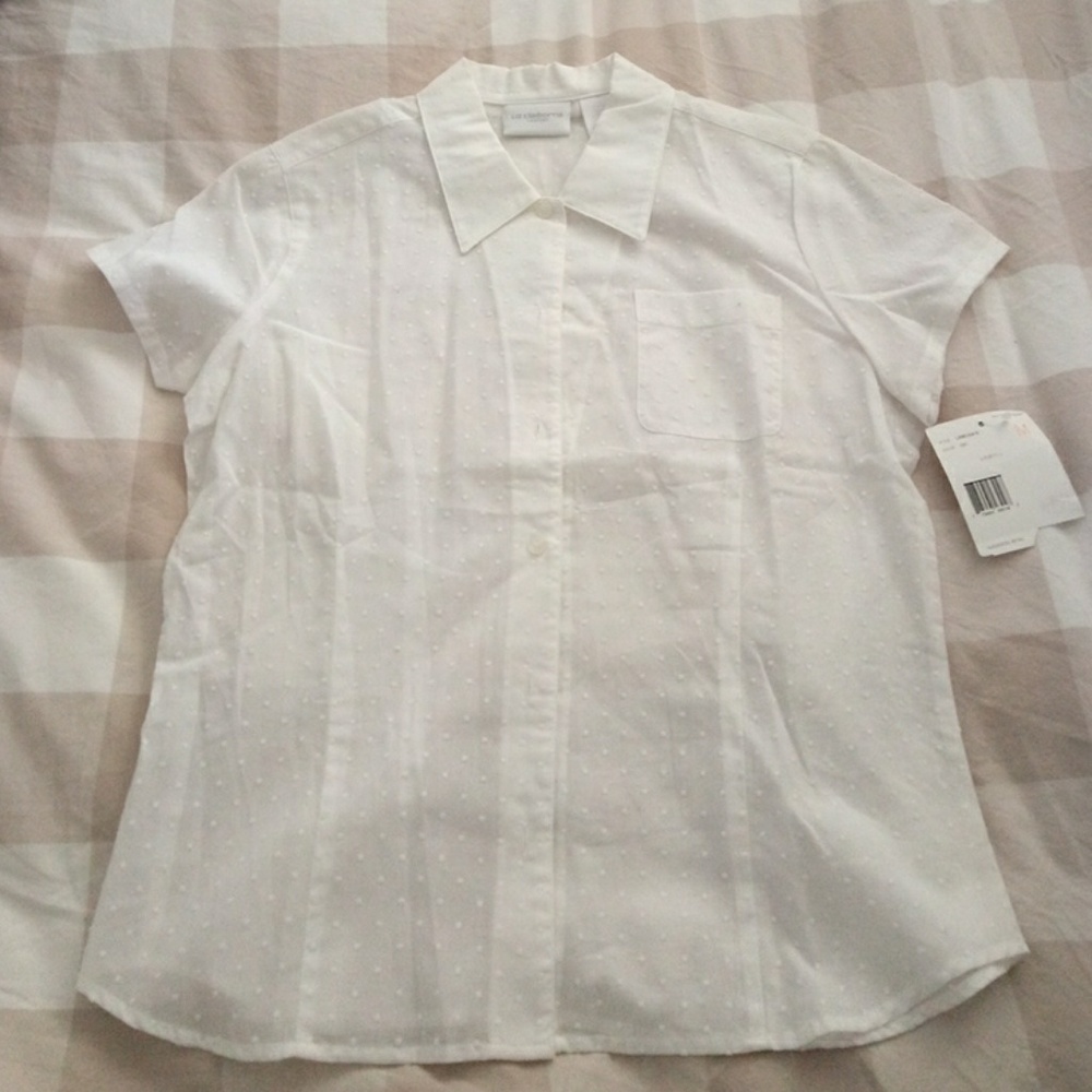 A White Sheer Button Down Shirt