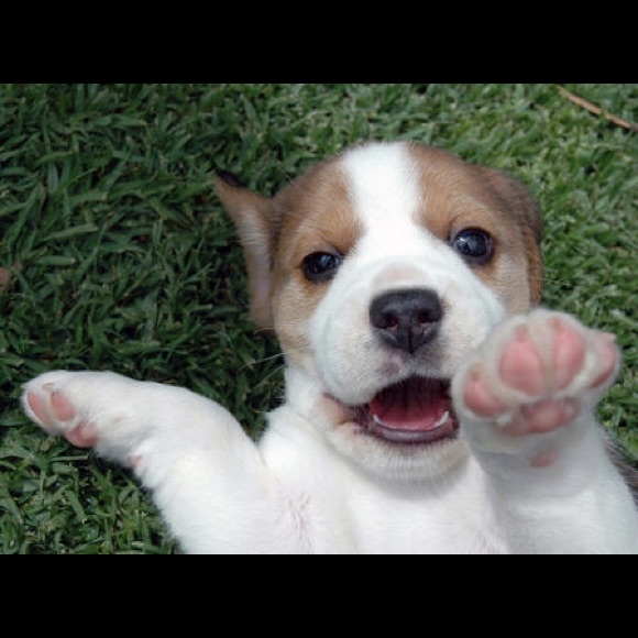 Meet your Posher, Jessica - Picture 1 of 1