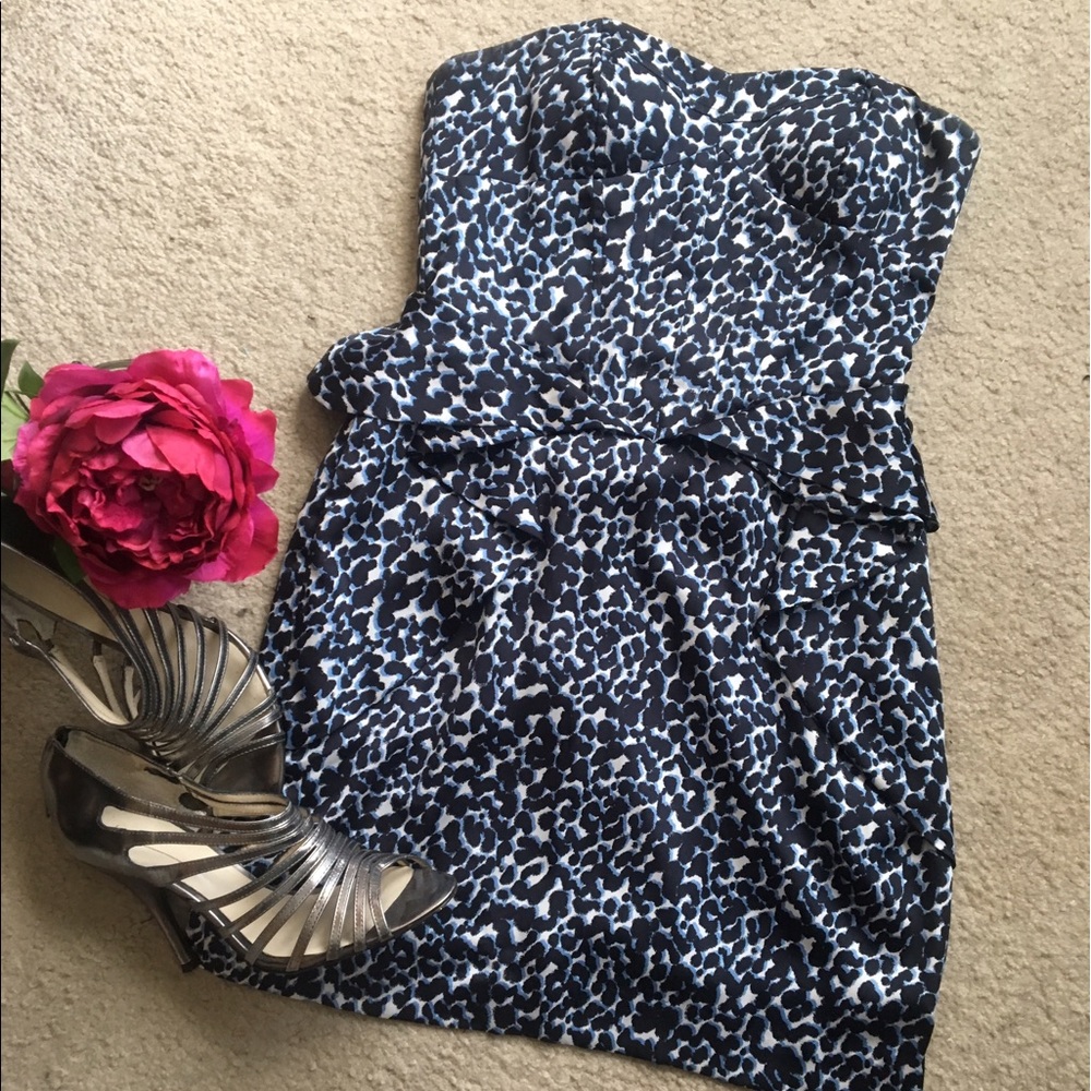 BCBG Silk Dress
