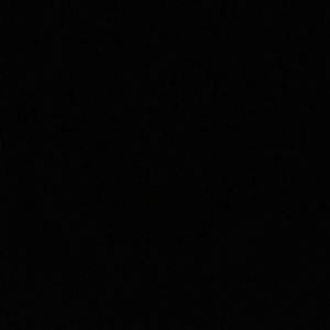 Meet your Posher, Larae