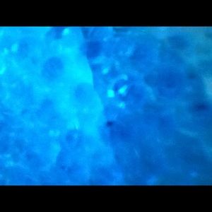 Meet your Posher, Kaitlyn