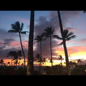 Meet your Posher, Lina