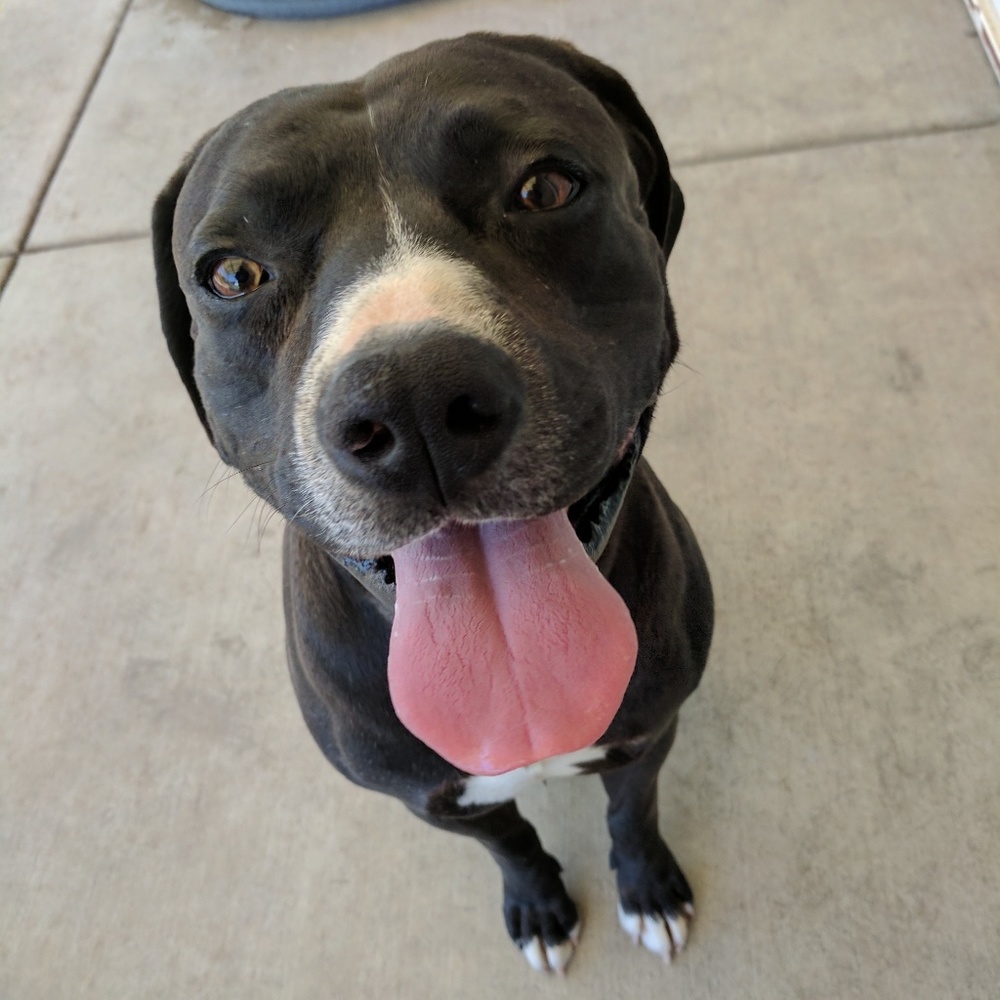 Meet your Posher, Ali