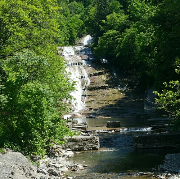 Meet your Posher, Camiel - Picture 1 of 1