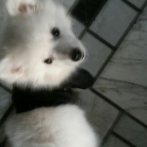 Meet your Posher, Leslie