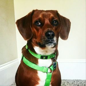 Meet your Posher, Richard