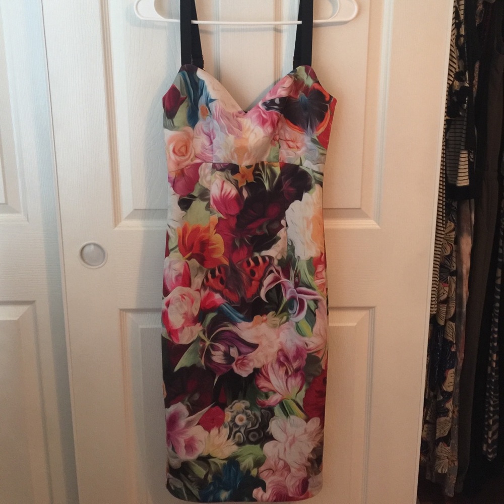 Ted Baker Dress