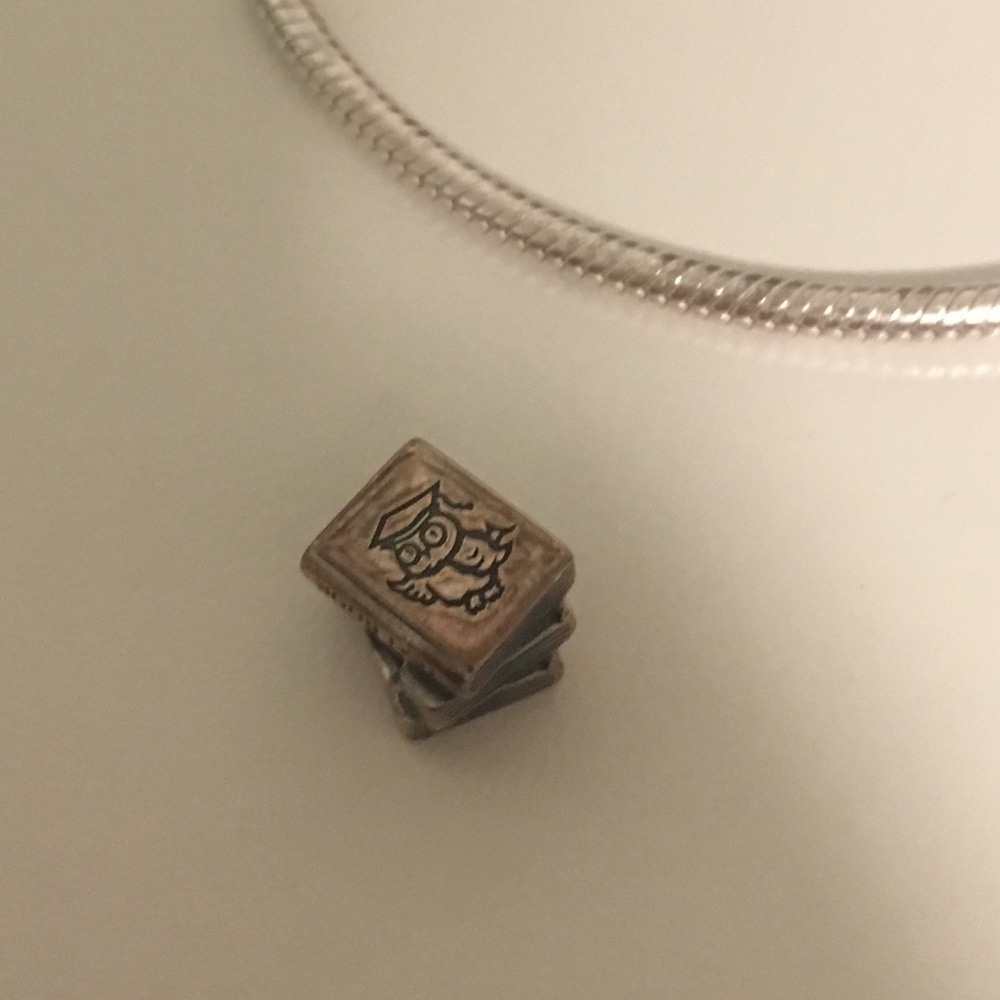 Pandora Study/Owl/Books Charm