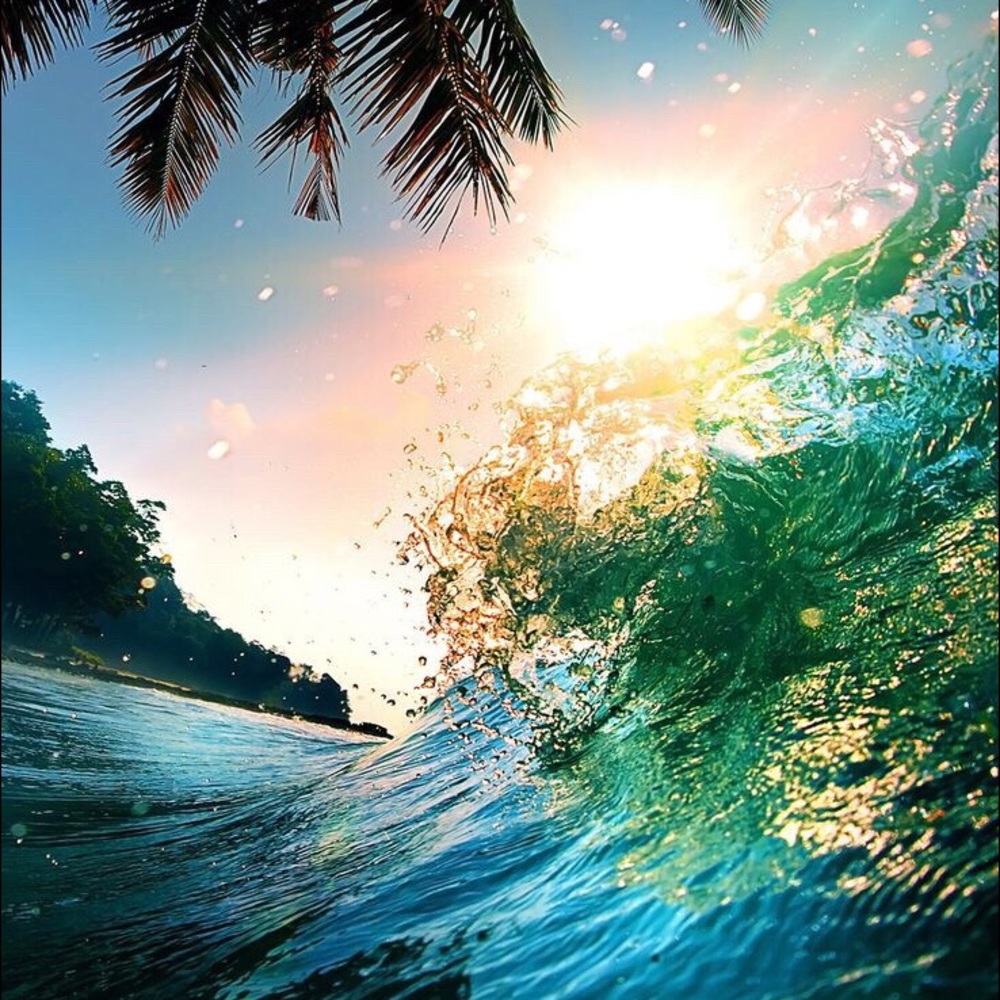 Meet your Posher, Trinity