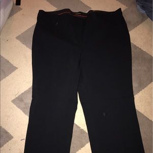Brand new Lane Bryant dress pant